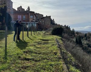 persone che guardano dallo spazio sopra la mura di via delle coste